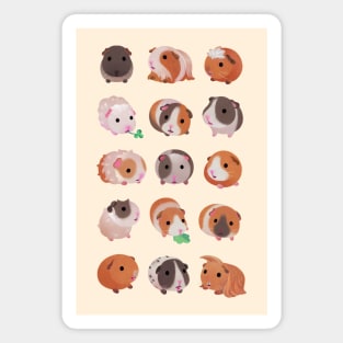 Guinea pig day Magnet